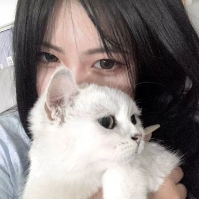 四副牌拖拉机免费下载